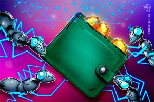 تقوم بورصة CoinDCX بتوسيع محفظة الحفظ الذاتي لدعم 155 دولة