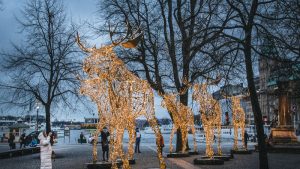 فيديو : شاهد: بداية الاحتفال بعيد الأضواء لعام 2023 في السويد