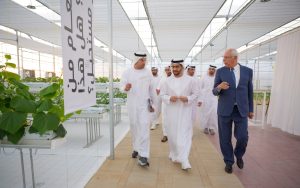 حمدان بن زايد يزور مهرجان ليوا الدولي «تل مرعب 2024»