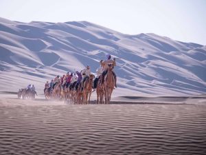رحلة الهجن تقطع الصحراء الغربية في الطريق إلى خط النهاية