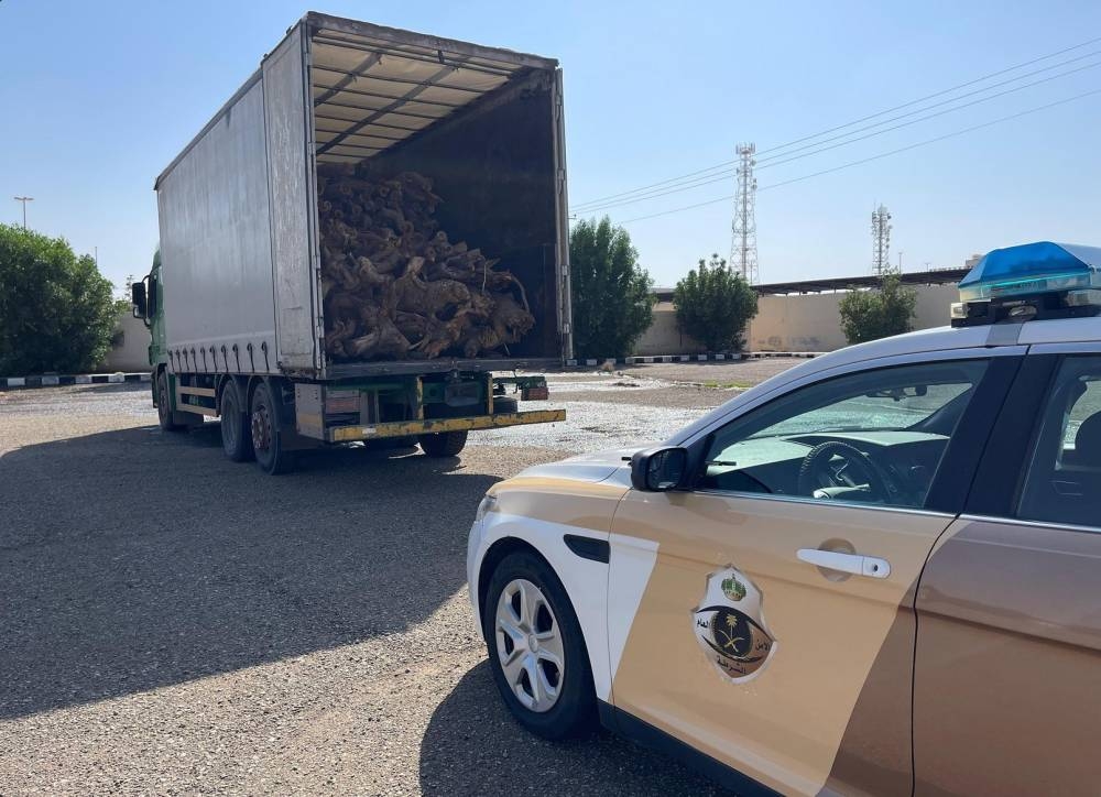 القبض على 3 مروجي حشيش في القصيم.. ومخالف لـ«البيئة» بالمهد