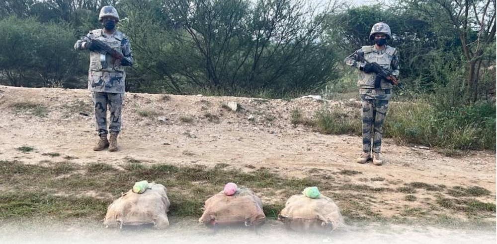 «حرس الحدود» بجازان يحبط تهريب 60 كيلوغرام «قات»