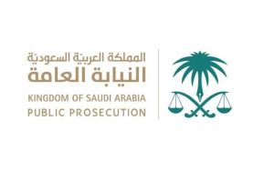 «النيابة»: السجن سنة وغرامة 5 آلاف عقوبة التدريب على أسلحة الصيد دون ترخيص