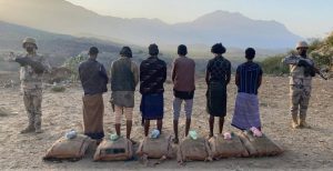 حرس الحدود بجازان يقبض على 6 «مخالفين» لتهريبهم «القات»