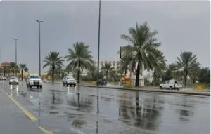 «الأرصاد» عن طقس الأحد: سحب رعدية ممطرة ورياح نشطة على عدة مناطق