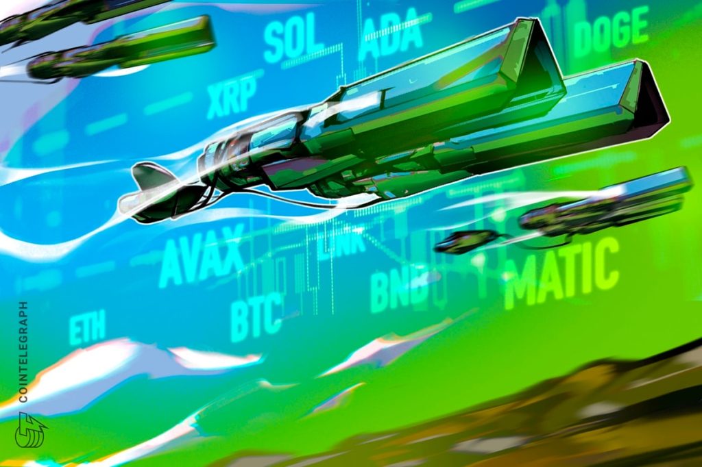 BTC، ETH، BNB، XRP، SOL، ADA، DOGE، AVAX، LINK، MATIC