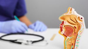 نصائح لمن يعانون المشاكل في الجيوب الأنفية