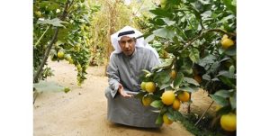 فيصل الدماك لـ «الأنباء»: نطالب بصرف الدعم للمزارعين.. والميزانية متوافرة