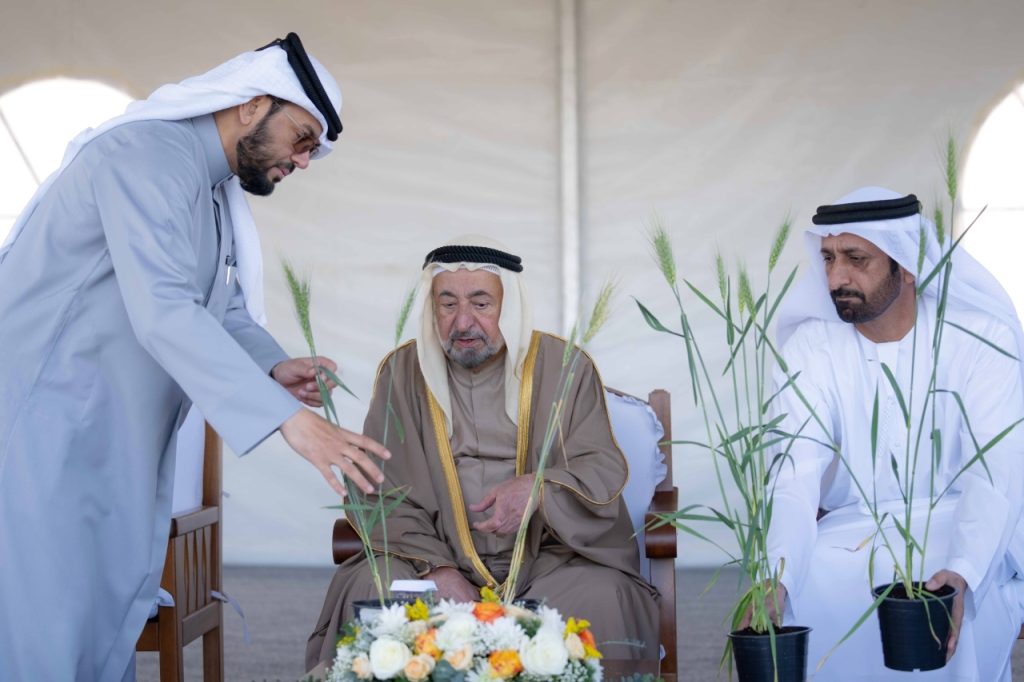 حاكم الشارقة يطّلع على سير العمل بمزرعة القمح في مليحة