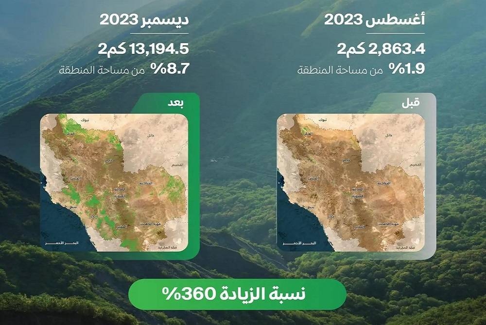 «الغطاء النباتي»: 360% زيادة المساحات الخضراء في منطقة المدينة المنورة خلال 5 أشهر