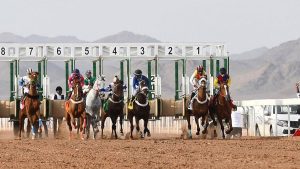 غدًا.. ميدان الفروسية بالمدينة المنورة يقيم الحفل الثالث عشر لسباقات الخيل