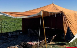 ضبط 3 مواطنين قاموا بالتخييم دون ترخيص في محمية الملك عبدالعزيز الملكية