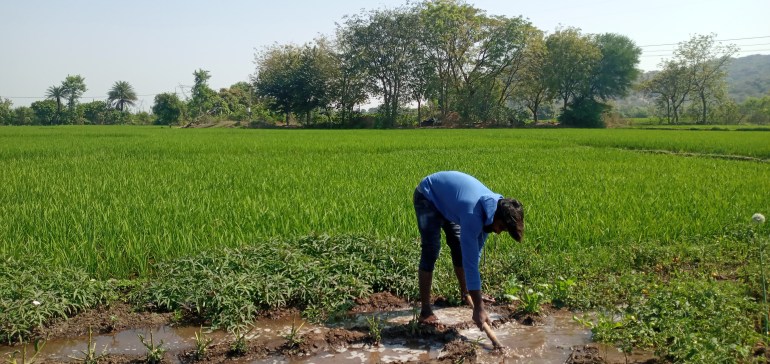 indian young boy farming beautiful natural green leaves background view 