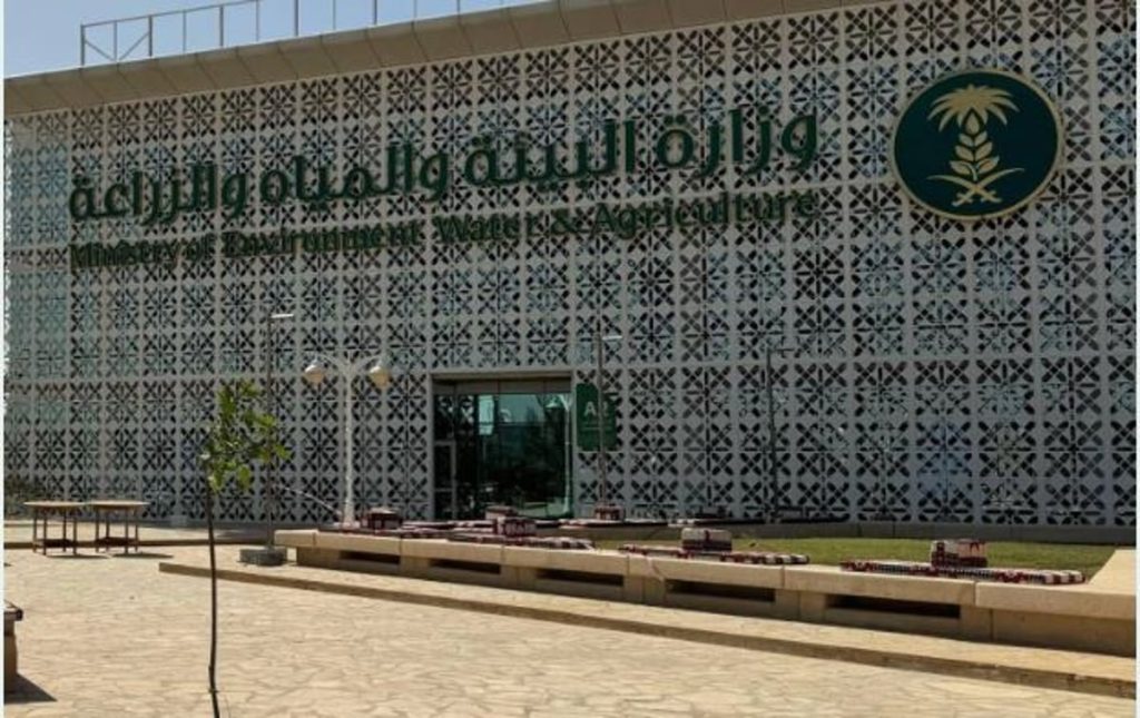 البيئة: فقد وهدر الخضروات سنويًا تحد لقطاع الزراعة وزيادة الوعي أحد الحلول