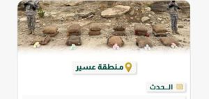 حرس الحدود بعسير يحبط تهريب 282 كيلوجرامًا من نبات القات المخدر