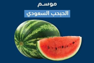«البيئة»: 99% اكتفاء ذاتي من محصول البطيخ في السعودية.. والإنتاج 624 ألف طن سنوياً