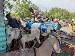 السودان.. عربات تجرها الحمير بدلا من سيارات الإسعاف جراء الحرب