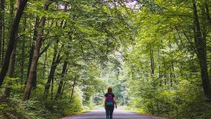 المشي على الخط: 5 من أفضل مسارات المشي لمسافات طويلة على السكك الحديدية في أوروبا