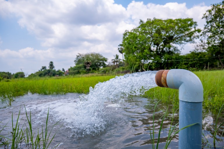 watering rice fields with free electricity in India - water scarcity