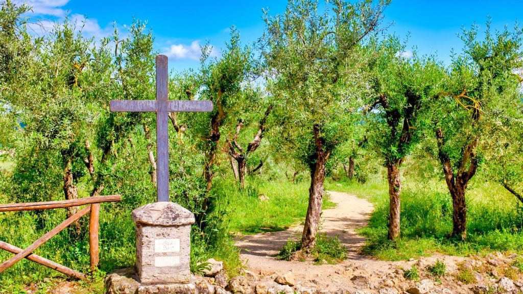 بدائل El Camino de Santiago أرخص وأكثر هدوءًا