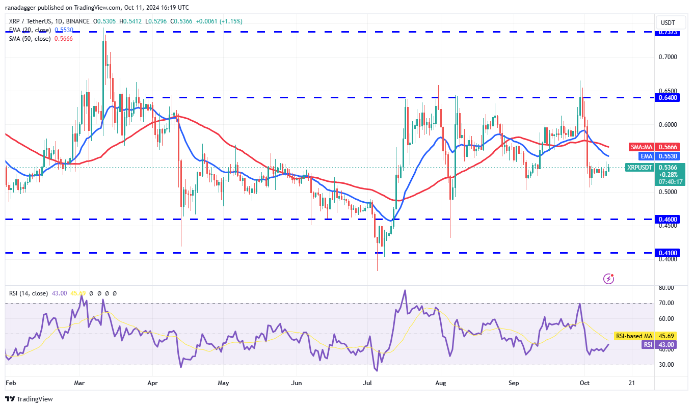 الدوجكوين، العملات المشفرة، سعر البيتكوين، XRP، الأسواق، تبادل العملات المشفرة، كاردانو، TON، تحليل الأسعار، عملة Binance، تحليل السوق، سعر الأثير، الانهيار الجليدي، شيبا إينو، الحوت