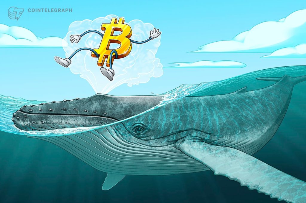 حوت عصر البيتكوين المبكر ينقل 630 ألف دولار إلى Kraken، و5.5 مليون دولار في شهرين
