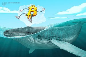 حوت عصر البيتكوين المبكر ينقل 630 ألف دولار إلى Kraken، و5.5 مليون دولار في شهرين
