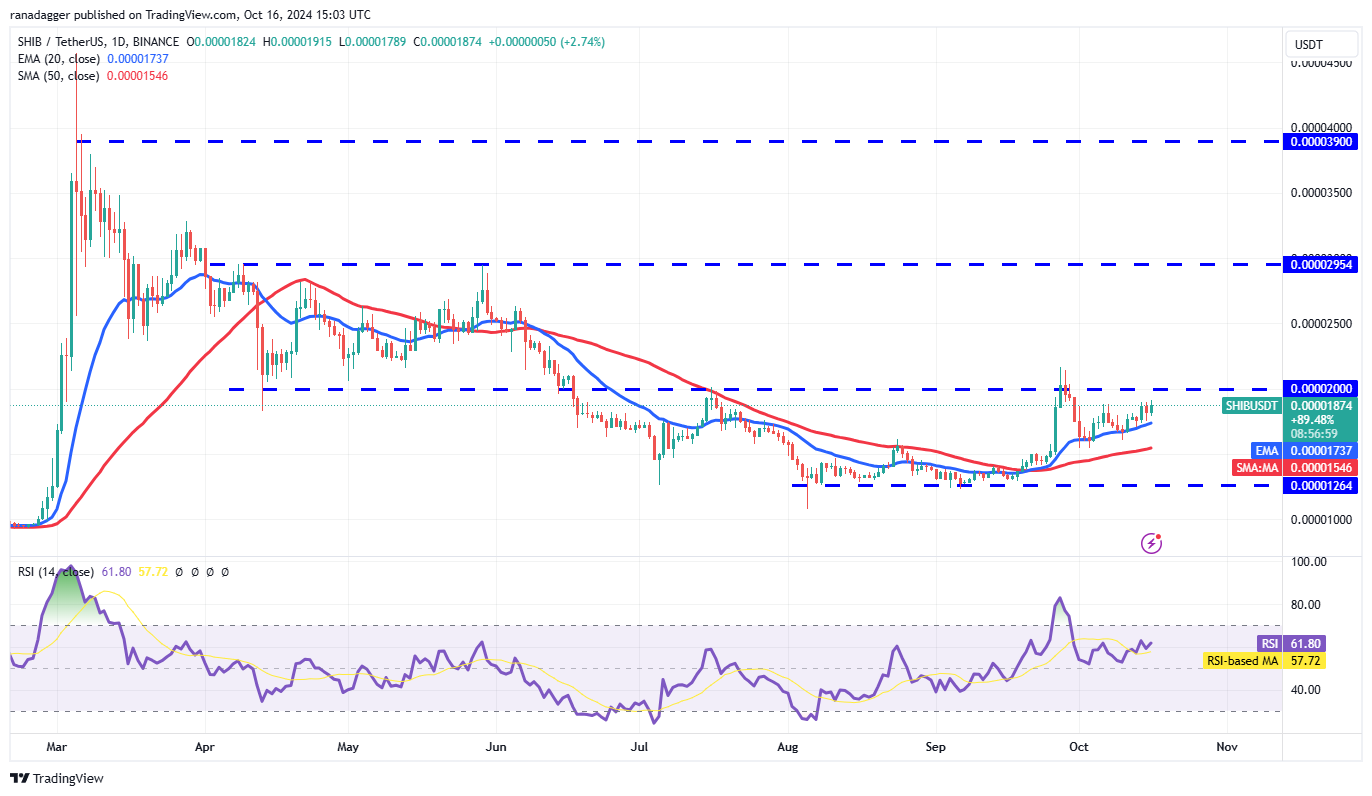 دوجكوين، العملات المشفرة، سعر بيتكوين، XRP، الأسواق، تبادل العملات المشفرة، كاردانو، TON، تحليل الأسعار، عملة باينانس، تحليل السوق، سعر الأثير، سولانا، أفالانش، بيتكوين ETF، ETF