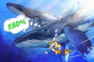 يعكس تراكم حيتان البيتكوين اتجاه عام 2020 حيث ارتفعت BTC بنسبة 550٪