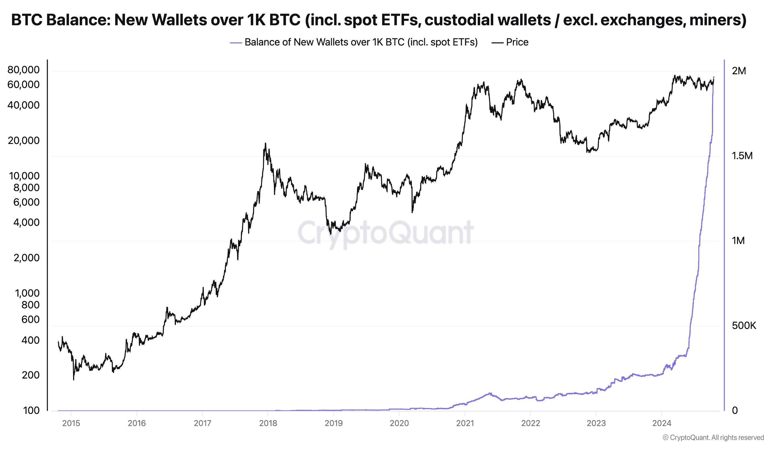 سعر البيتكوين، تحليل البيتكوين، الأسواق، الحوت