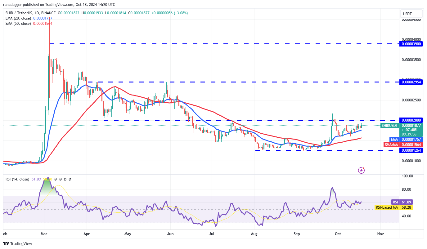 بلومبرغ، دوجكوين، العملات المشفرة، سعر بيتكوين، XRP، الأسواق، صرف العملات المشفرة، كاردانو، TON، تحليل الأسعار، عملة باينانس، تحليل السوق، سعر الأثير، سولانا، أفالانش، شيبا إينو، بيتكوين إتف، إتف