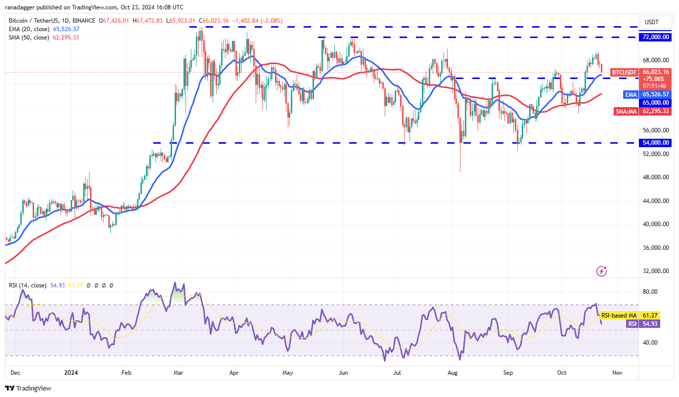 دوجكوين، العملات المشفرة، سعر البيتكوين، XRP، الأسواق، تبادل العملات المشفرة، كاردانو، TON، تحليل الأسعار، عملة Binance، تحليل السوق، سعر الأثير، سولانا، شيبا إينو