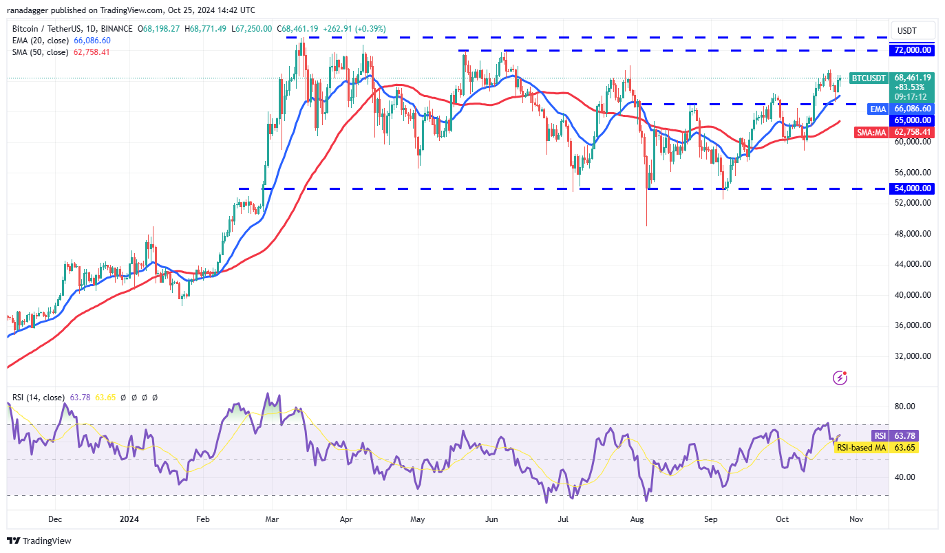 دوجكوين، العملات المشفرة، الكونجرس، سعر بيتكوين، XRP، الأسواق، بورصة العملات المشفرة، دونالد ترامب، كاردانو، TON، تحليل الأسعار، عملة باينانس، تحليل السوق، سعر الأثير، سولانا، أفالانش، شيبا إينو، الانتخابات الأمريكية 2024