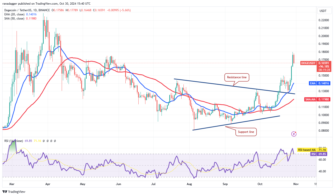 دوجكوين، العملات المشفرة، سعر بيتكوين، XRP، الأسواق، بورصة العملات المشفرة، دونالد ترامب، TON، تحليل الأسعار، عملة باينانس، تحليل السوق، سعر الأثير، سولانا، أفالانش، شيبا إينو، بيتكوين إتف، إتف، كامالا هاريس، الانتخابات الأمريكية 2024