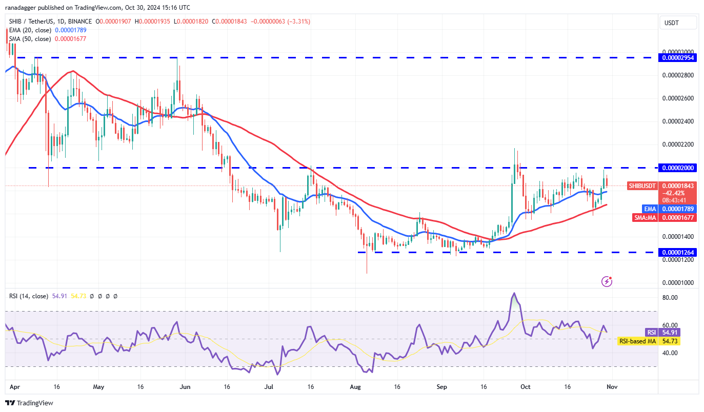دوجكوين، العملات المشفرة، سعر بيتكوين، XRP، الأسواق، بورصة العملات المشفرة، دونالد ترامب، TON، تحليل الأسعار، عملة باينانس، تحليل السوق، سعر الأثير، سولانا، أفالانش، شيبا إينو، بيتكوين إتف، إتف، كامالا هاريس، الانتخابات الأمريكية 2024