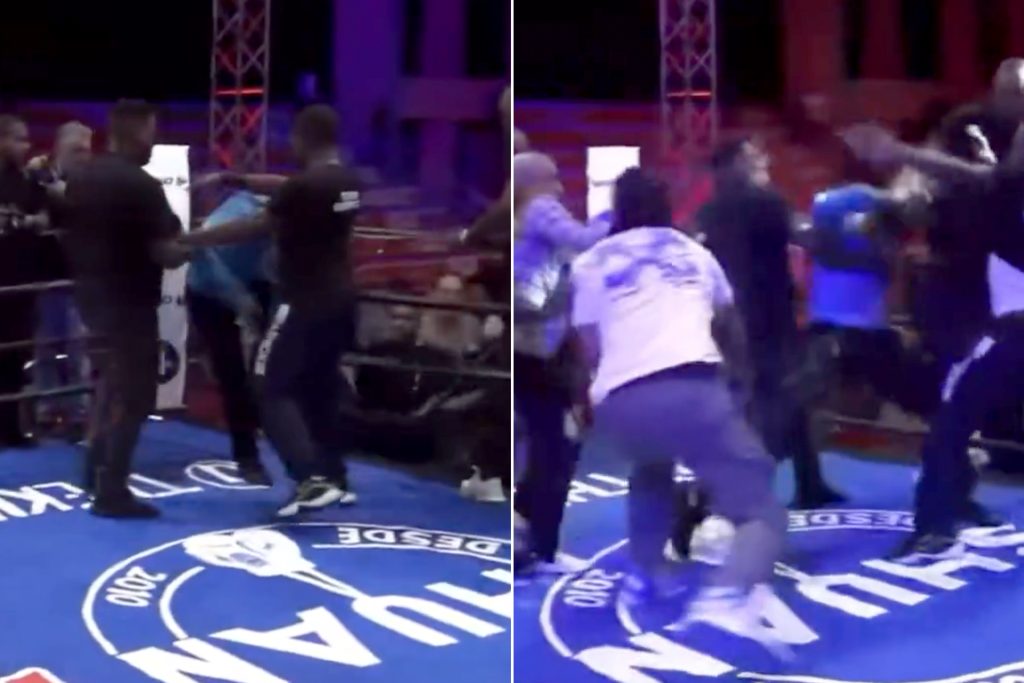 شاهد.. حكم ملاكمة يتعرض لضرب مبرح في الحلبة