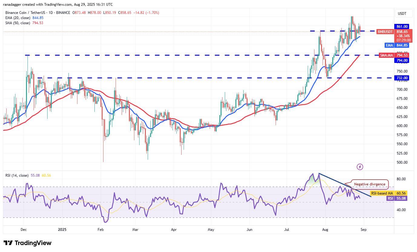DogeCoin ، عملات مشفرة ، سعر بيتكوين ، عيد الميلاد ، XRP ، الأسواق ، تبادل العملة المشفرة ، Cardano ، تحليل الأسعار ، عملة Binance ، Chainlink ، تحليل السوق ، سعر الأثير ، Solana ، Ethereum ETF ، Bitcoin ETF ، ETF ، SUI