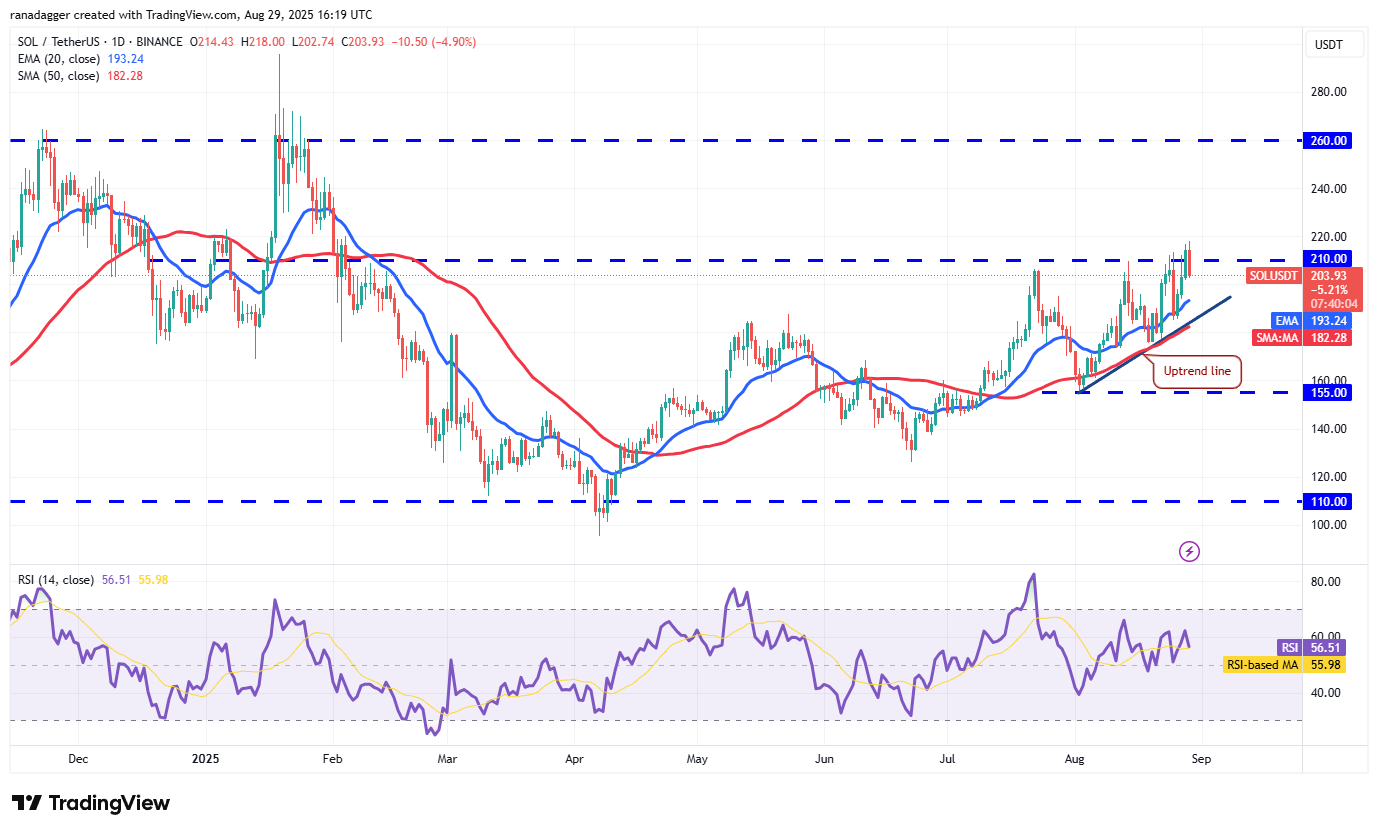DogeCoin ، عملات مشفرة ، سعر بيتكوين ، عيد الميلاد ، XRP ، الأسواق ، تبادل العملة المشفرة ، Cardano ، تحليل الأسعار ، عملة Binance ، Chainlink ، تحليل السوق ، سعر الأثير ، Solana ، Ethereum ETF ، Bitcoin ETF ، ETF ، SUI