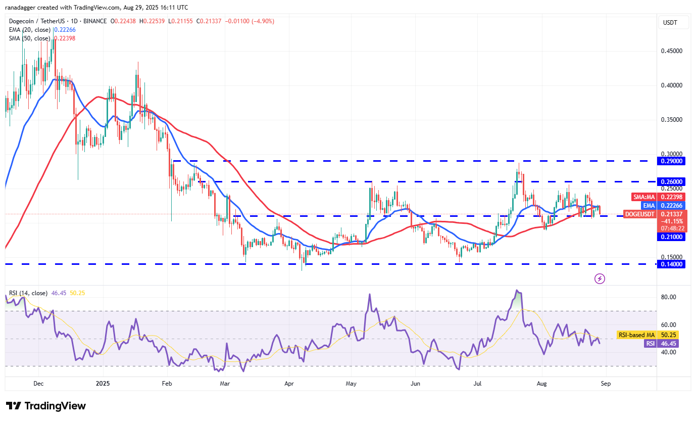 DogeCoin ، عملات مشفرة ، سعر بيتكوين ، عيد الميلاد ، XRP ، الأسواق ، تبادل العملة المشفرة ، Cardano ، تحليل الأسعار ، عملة Binance ، Chainlink ، تحليل السوق ، سعر الأثير ، Solana ، Ethereum ETF ، Bitcoin ETF ، ETF ، SUI