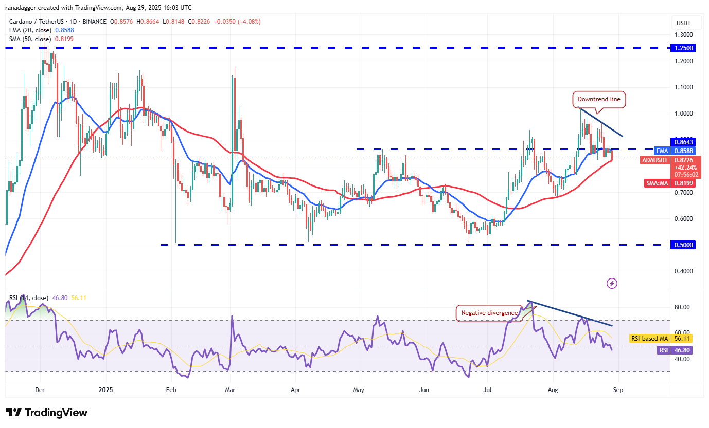 DogeCoin ، عملات مشفرة ، سعر بيتكوين ، عيد الميلاد ، XRP ، الأسواق ، تبادل العملة المشفرة ، Cardano ، تحليل الأسعار ، عملة Binance ، Chainlink ، تحليل السوق ، سعر الأثير ، Solana ، Ethereum ETF ، Bitcoin ETF ، ETF ، SUI