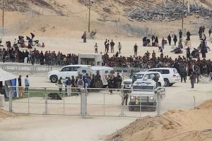 ويتكوف يتفقد “مركز مساعدات” برفح وحماس تصف الزيارة بالدعائية | أخبار