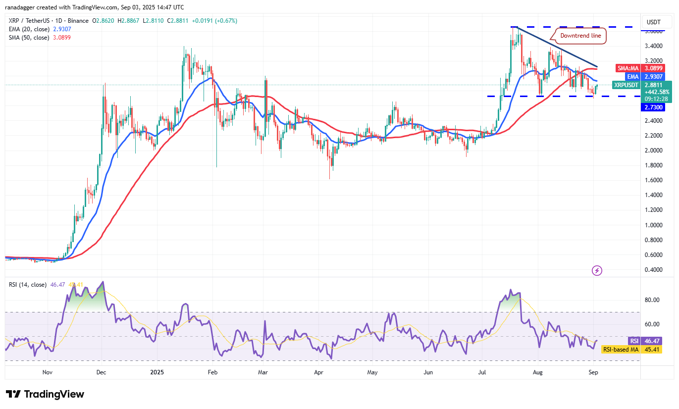 DogeCoin ، عملات مشفرة ، ذهبية ، سعر بيتكوين ، XRP ، الأسواق ، تبادل العملة المشفرة ، Cardano ، تحليل الأسعار ، عملة Binance ، Chainlink ، تحليل السوق ، سعر الأثير ، Solana ، Bitcoin ETF ، ETF ، SUI