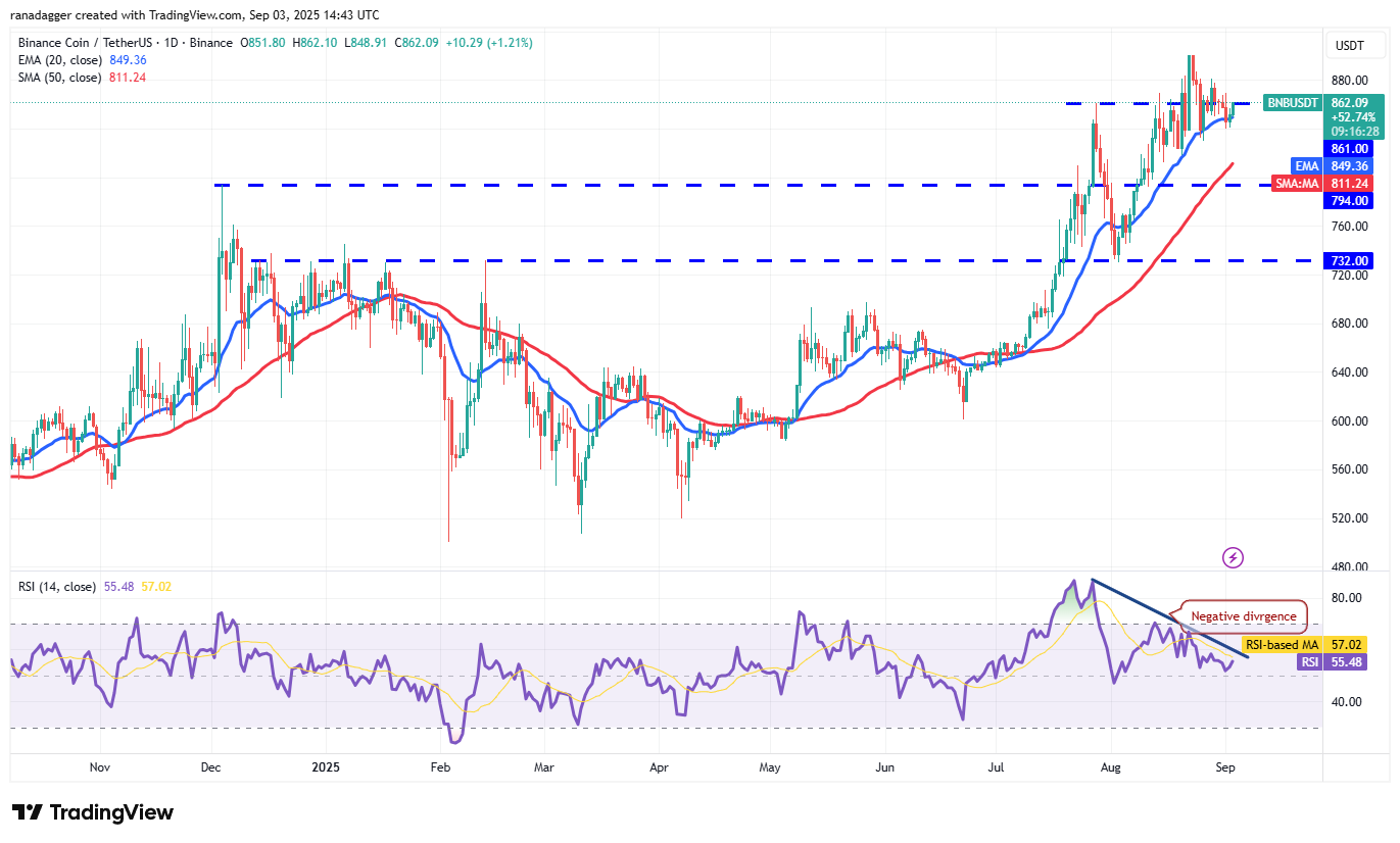 DogeCoin ، عملات مشفرة ، ذهبية ، سعر بيتكوين ، XRP ، الأسواق ، تبادل العملة المشفرة ، Cardano ، تحليل الأسعار ، عملة Binance ، Chainlink ، تحليل السوق ، سعر الأثير ، Solana ، Bitcoin ETF ، ETF ، SUI