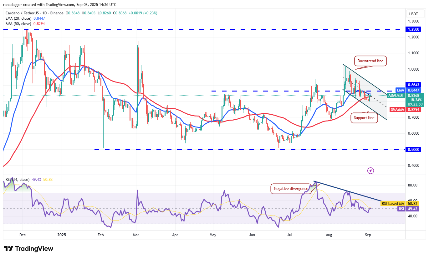 DogeCoin ، عملات مشفرة ، ذهبية ، سعر بيتكوين ، XRP ، الأسواق ، تبادل العملة المشفرة ، Cardano ، تحليل الأسعار ، عملة Binance ، Chainlink ، تحليل السوق ، سعر الأثير ، Solana ، Bitcoin ETF ، ETF ، SUI