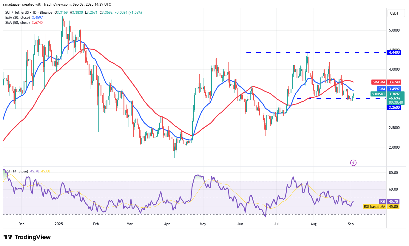 DogeCoin ، عملات مشفرة ، ذهبية ، سعر بيتكوين ، XRP ، الأسواق ، تبادل العملة المشفرة ، Cardano ، تحليل الأسعار ، عملة Binance ، Chainlink ، تحليل السوق ، سعر الأثير ، Solana ، Bitcoin ETF ، ETF ، SUI