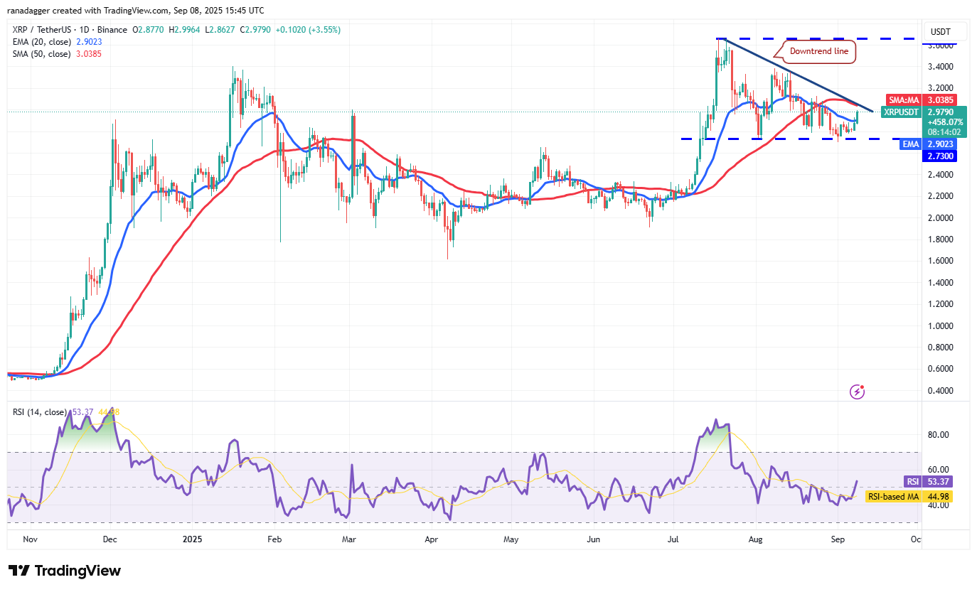 Dogecoin ، عملات مشفرة ، دولار ، سعر البيتكوين ، XRP ، الأسواق ، تبادل العملة المشفرة ، Cardano ، تحليل الأسعار ، عملة Binance ، تحليل السوق ، سعر الأثير ، Solana ، MicroStrategy ، S & P 500 ، Whale ، Michael Saylor