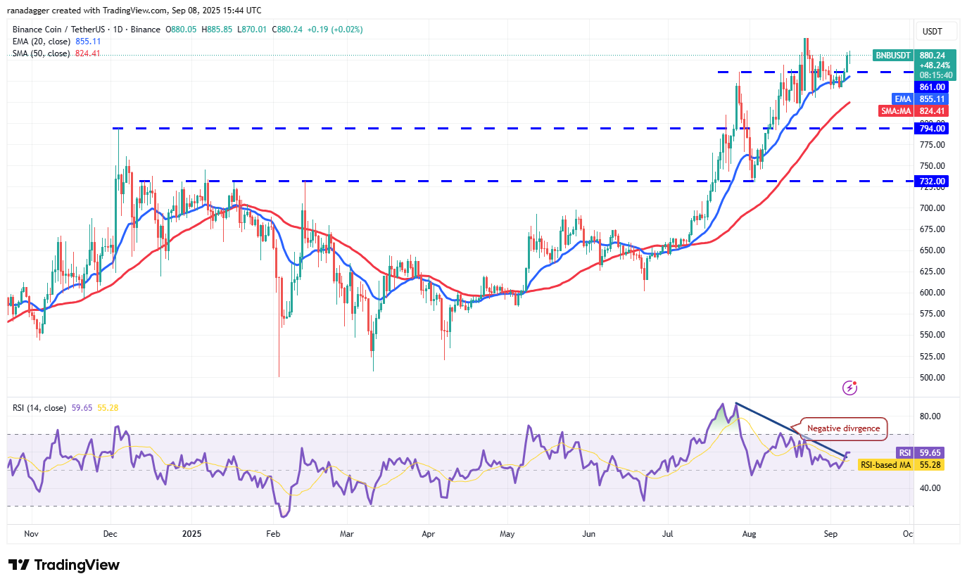 Dogecoin ، عملات مشفرة ، دولار ، سعر البيتكوين ، XRP ، الأسواق ، تبادل العملة المشفرة ، Cardano ، تحليل الأسعار ، عملة Binance ، تحليل السوق ، سعر الأثير ، Solana ، MicroStrategy ، S & P 500 ، Whale ، Michael Saylor