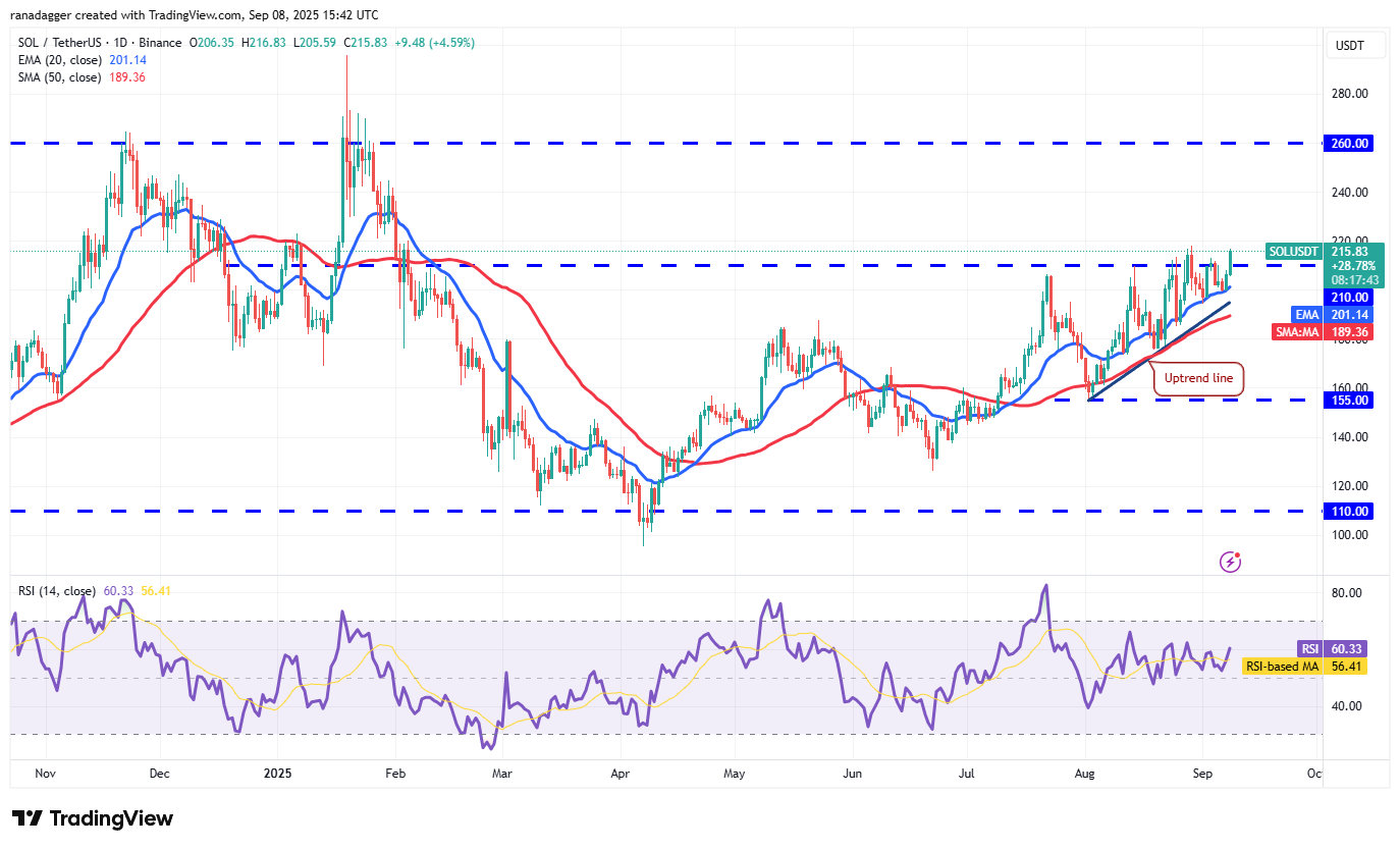 Dogecoin ، عملات مشفرة ، دولار ، سعر البيتكوين ، XRP ، الأسواق ، تبادل العملة المشفرة ، Cardano ، تحليل الأسعار ، عملة Binance ، تحليل السوق ، سعر الأثير ، Solana ، MicroStrategy ، S & P 500 ، Whale ، Michael Saylor