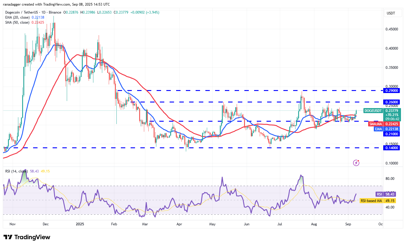 Dogecoin ، عملات مشفرة ، دولار ، سعر البيتكوين ، XRP ، الأسواق ، تبادل العملة المشفرة ، Cardano ، تحليل الأسعار ، عملة Binance ، تحليل السوق ، سعر الأثير ، Solana ، MicroStrategy ، S & P 500 ، Whale ، Michael Saylor