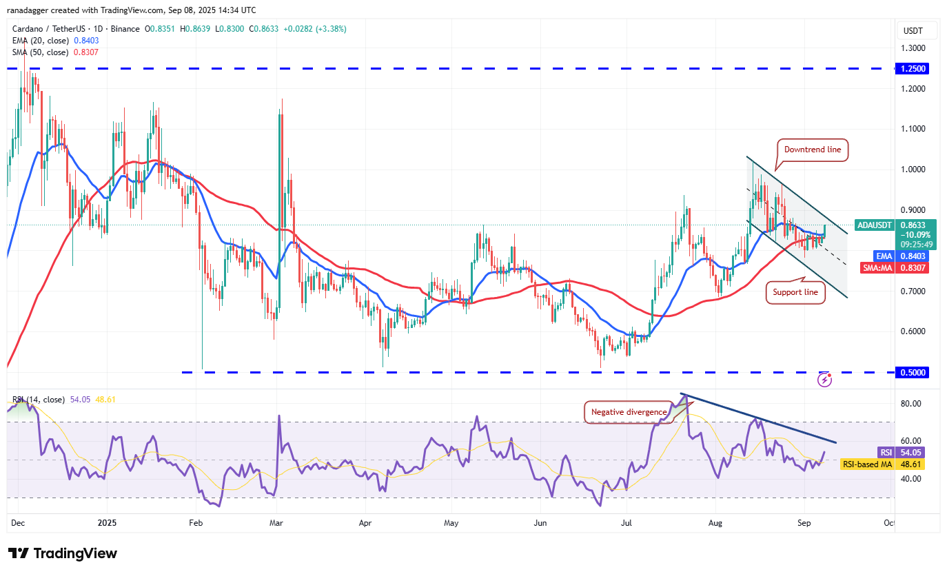 Dogecoin ، عملات مشفرة ، دولار ، سعر البيتكوين ، XRP ، الأسواق ، تبادل العملة المشفرة ، Cardano ، تحليل الأسعار ، عملة Binance ، تحليل السوق ، سعر الأثير ، Solana ، MicroStrategy ، S & P 500 ، Whale ، Michael Saylor